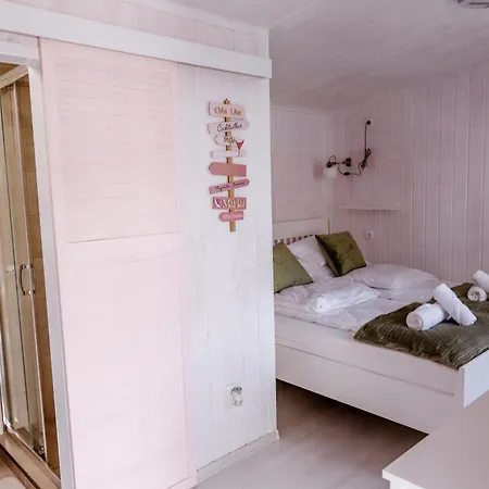 Louis Vilă Mişcolţ